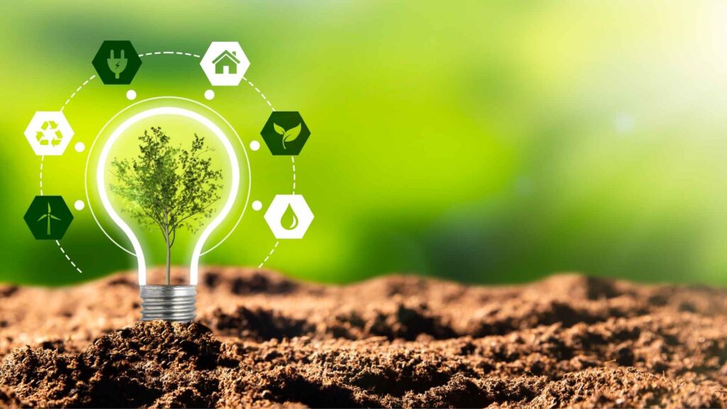 How to Set Up a Sustainable Business in UK